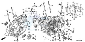 CRF150RBE CRF150RB Europe Direct - (ED) drawing CRANKCASE