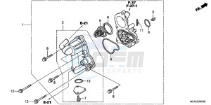 GL1800F GoldWing - GL1800-F 2ED - (2ED) drawing WATER PUMP