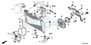 NC750SAE NC750SA ED drawing RADIATOR