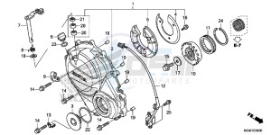 CB600FD Hornet 3ED drawing RIGHT CRANKCASE COVER