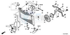 NC750SAF NC750S 4ED - (4ED) drawing RADIATOR