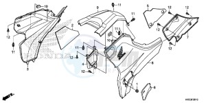 TRX420FE1E TRX420 Europe Direct - (ED) drawing SIDE COVER/TANK COVER