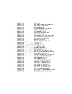 GS500 (E2) drawing * COLOR CHART *