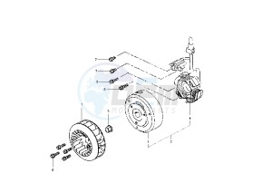 DD - 50 cc drawing FLYWHEEL MAGNETO