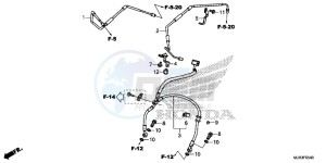 GL1800CF F6C ED drawing FRONT BRAKE HOSE