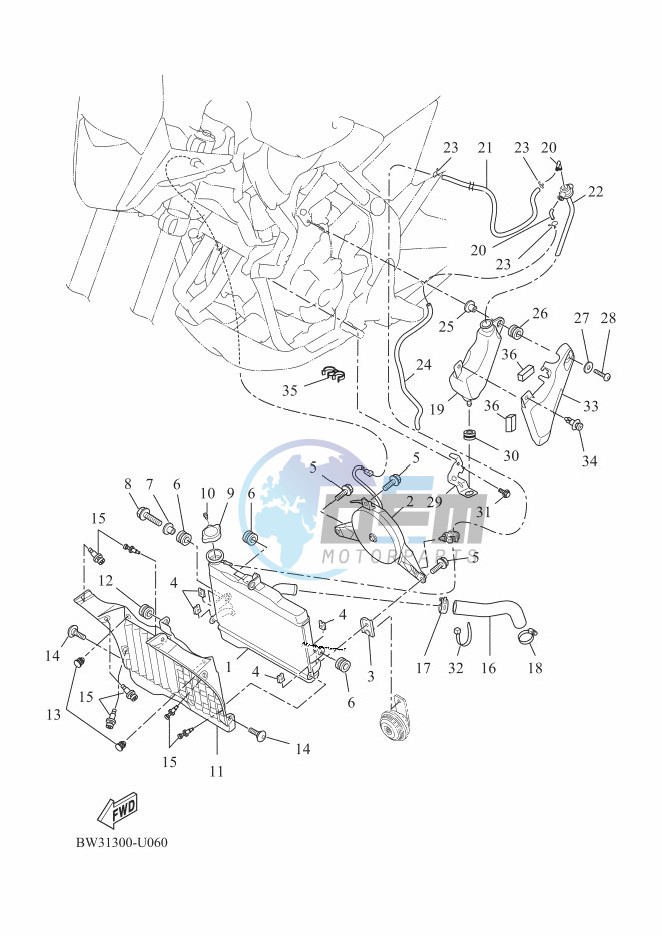 RADIATOR & HOSE