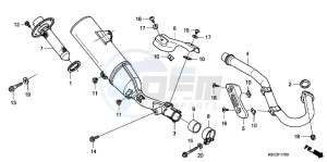 CRF250XC drawing EXHAUST MUFFLER