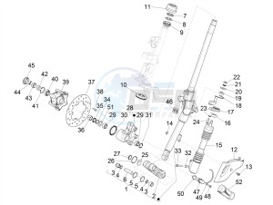 SPRINT 50 4T-3V E2 NOABS (NAFTA) drawing Fork/steering tube - Steering bearing unit