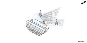 TRX420TE1E TRX420 ED drawing TAILLIGHT