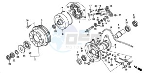 TRX200 FOURTRAX 200 drawing REAR BRAKE DRUM