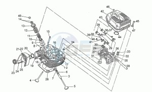 Daytona 1000 Racing Racing drawing Heads