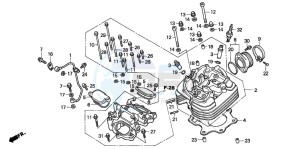 TRX300EX SPORTRAX drawing CYLINDER HEAD