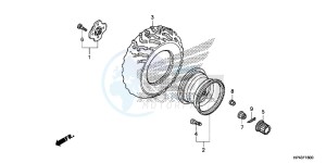 TRX420FED TRX420 Europe Direct - (ED) drawing REAR WHEEL