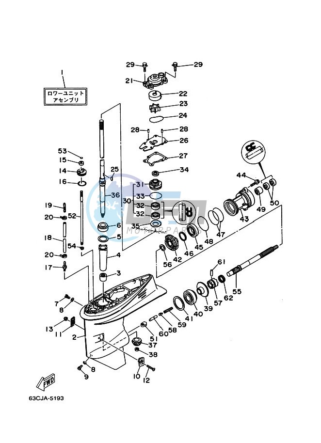 LOWER-CASING-x-DRIVE