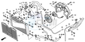 CB600FAA Australia - (U / ABS) drawing RADIATOR