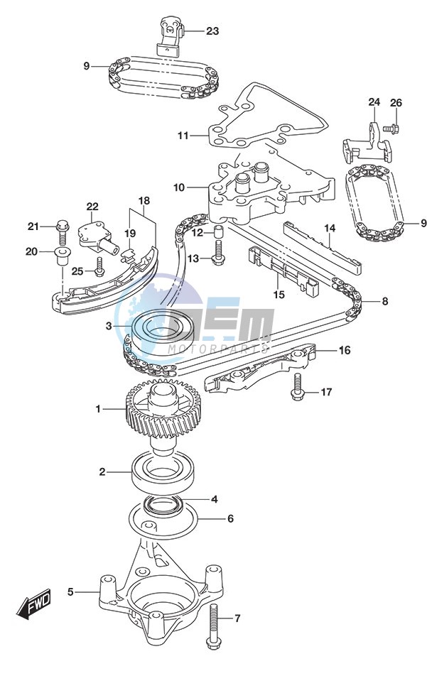 Timing Chain