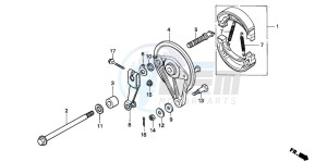 NSR50F drawing REAR BRAKE PANEL