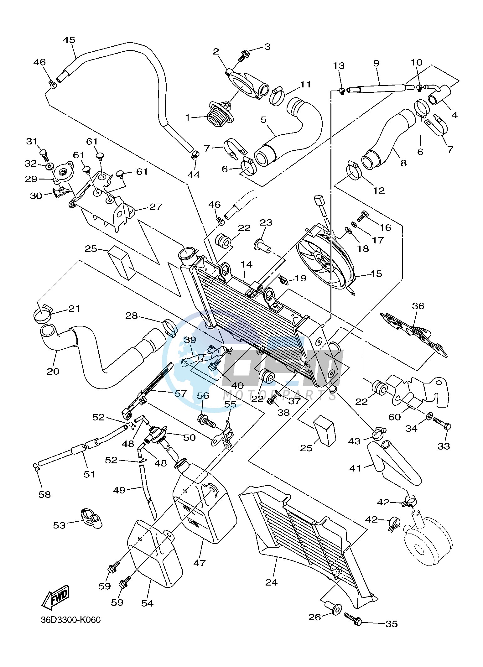 RADIATOR & HOSE