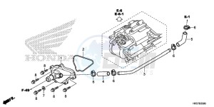 TRX420FE1G TRX420 Europe Direct - (ED) drawing WATER PUMP COVER