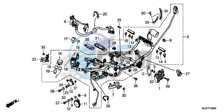 WIRE HARNESS