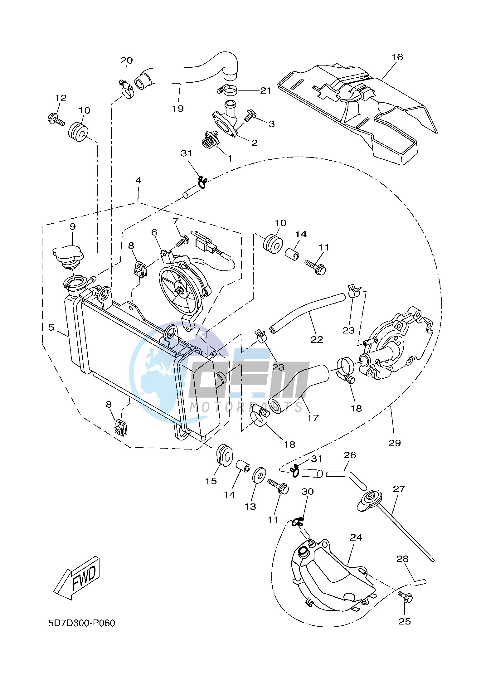 RADIATOR & HOSE