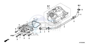 TRX420FA5G TRX420F Europe Direct - (ED) drawing WATER PUMP COVER