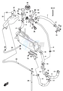 DL250 drawing RADIATOR HOSE