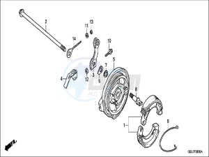 CRF50FH Europe Direct - (ED) drawing REAR BRAKE PANEL