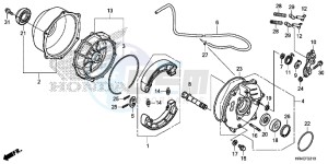 TRX500FM2H Europe Direct - (ED) drawing REAR BRAKE PANEL