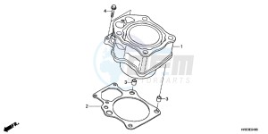 TRX500FPED TRX500FPE ED drawing CYLINDER