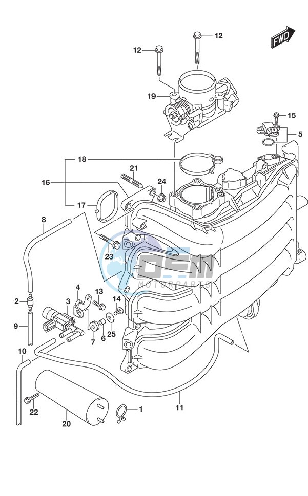 Intake Manifold/Throttle Body (Model: TG/ZG)