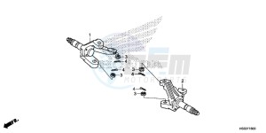 TRX250TMH Europe Direct - (ED) drawing KNUCKLE