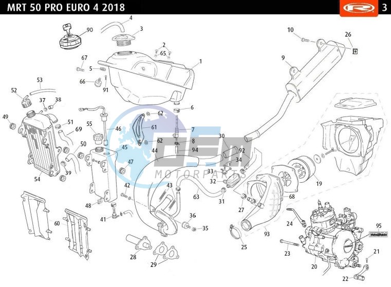 TANK - HOSE - RADIATOR