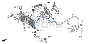 CBF600S drawing RADIATOR (CBF600S6/SA6)