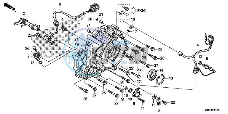 REAR CRANKCASE COVER