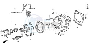 FES150 125 PANTHEON drawing CYLINDER HEAD/CYLINDER