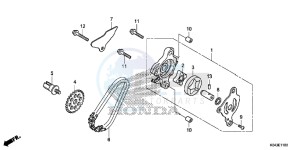 NSS300D Forza - NSS300D UK - (E) drawing OIL PUMP