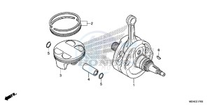 CRF450RE CRF450R Europe Direct - (ED) drawing CRANKSHAFT/PISTON