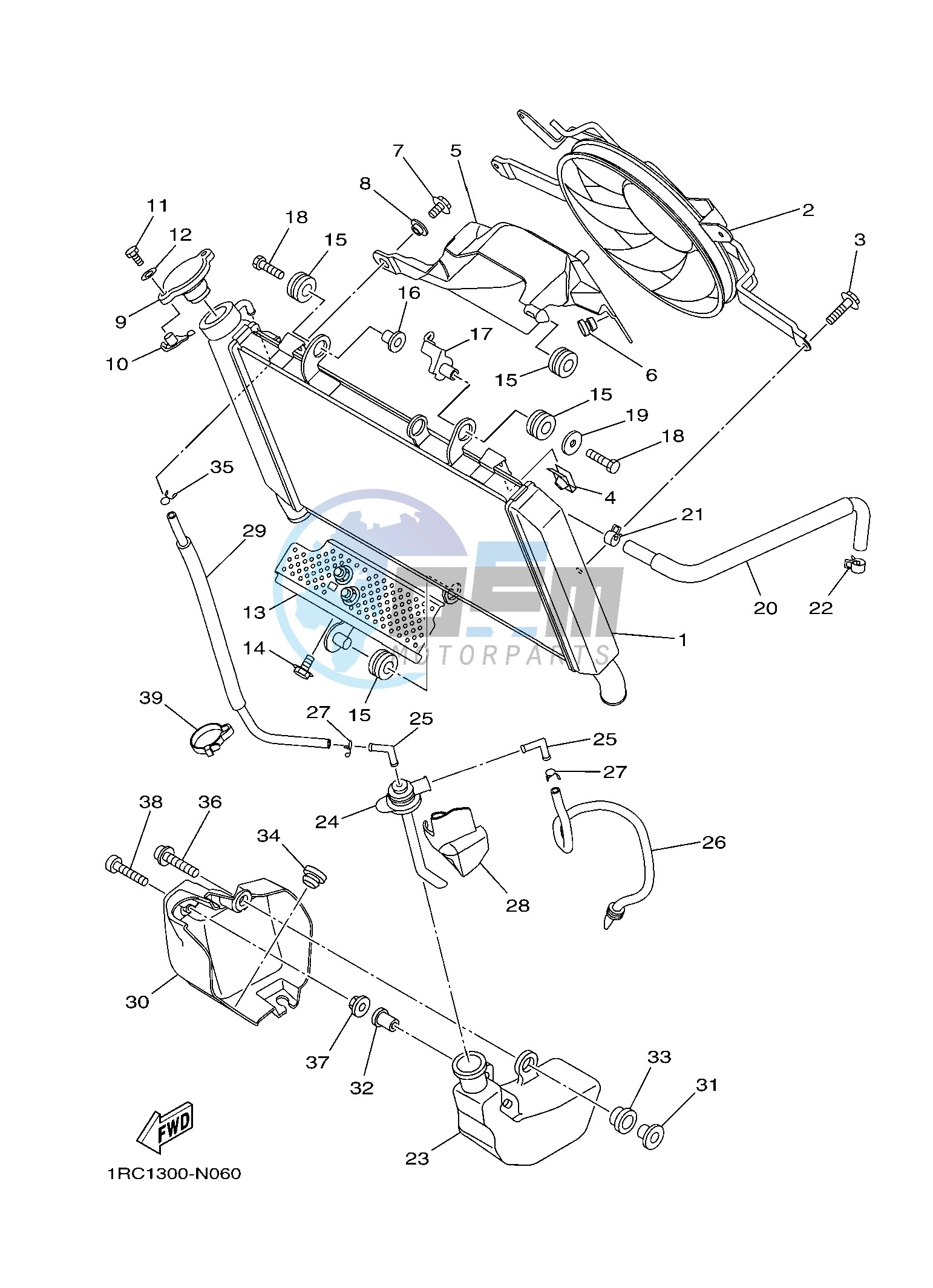 RADIATOR & HOSE