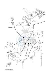 NS50N NITRO NAKED (1PL6 1PL6) drawing ELECTRICAL 2