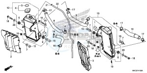 CRF450R Europe Direct - (ED) drawing RADIATOR