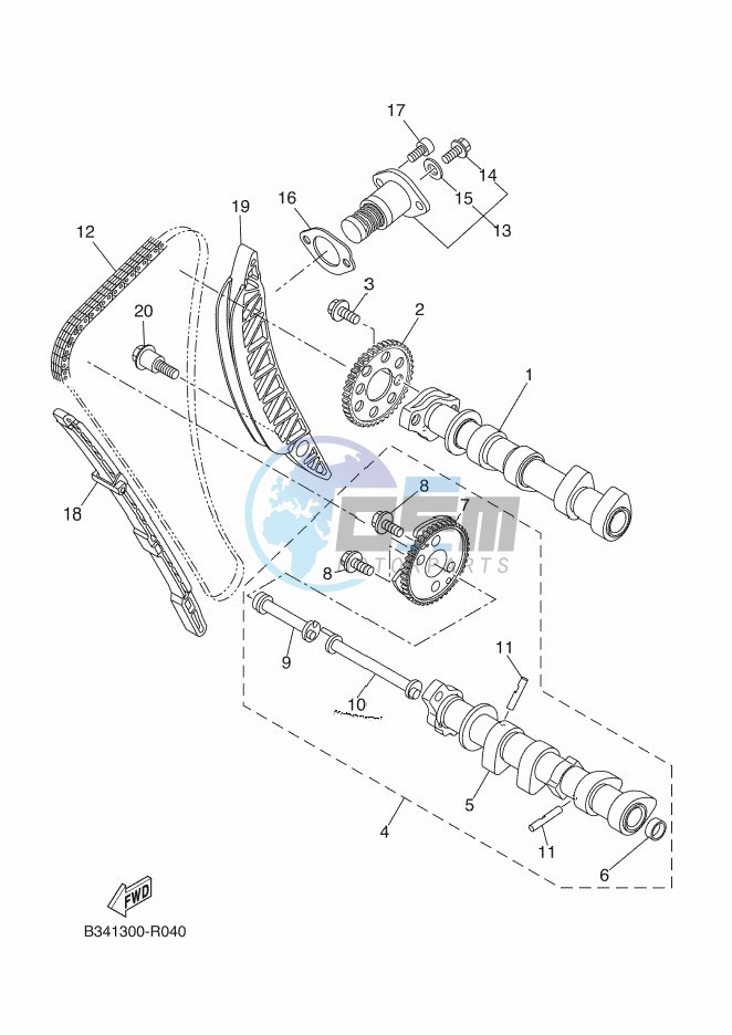 CAMSHAFT & CHAIN