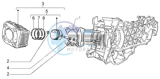 Cylinder - piston - wrist pin assy