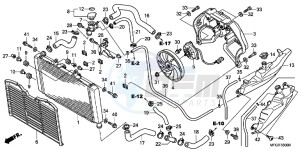 CB600FAC drawing RADIATOR