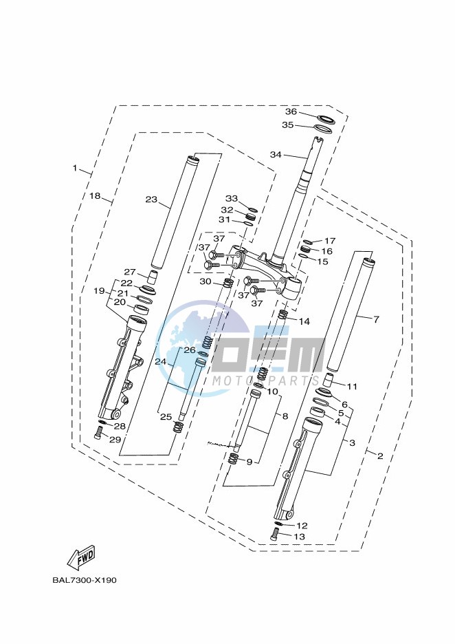 CAMSHAFT & CHAIN