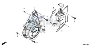 CB500F Europe Direct - (ED) drawing A.C. GENERATOR COVER