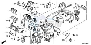 TRX500FAB drawing WIRE HARNESS