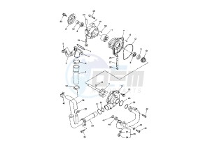 FZ1 FAZER 1000 drawing WATER PUMP