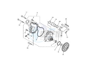 TDM 900 drawing WATER PUMP