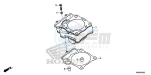 CRF250R Europe Direct - (ED) drawing CYLINDER